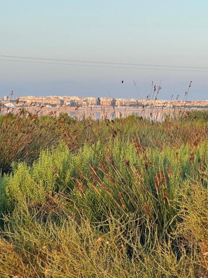 Apartamento Exclusivo Y Central Torrevieja Kültér fotó